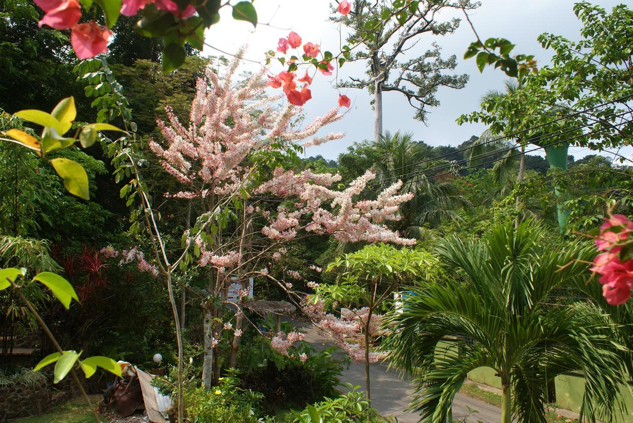 Rock Inn Bailan Koh Chang Exterior foto